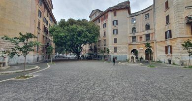 Il leccio da cui si vede tutta Roma: siamo a Piazza Perin Del Vaga