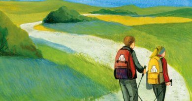 Il sentiero delle conchiglie: un romanzo per adolescenti che vogliono imparare a tenere uno sguardo alto sulla vita